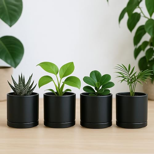 D'vine Dev 4-Pack Ceramic Pots with Saucers, Black, 3.5 in, 94-X-A-2 | Glazed Ceramic, Drainage Hole and Saucer, Sleek Cylinder Shape, High Temperature Fired, Ideal for Small Houseplants - color: Black, size: 3.5 Inch
