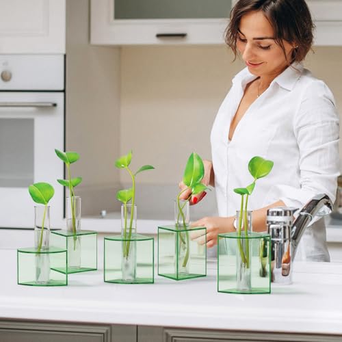 NIUBEE Plant Propagation Station Indoor: Petals Shaped Plant Terrarium with 5 Glass Test Tubes, Acrylic Tabletop Propagation Vases for Hydroponic Plants, Office Kitchen Decor for Plant Lovers (Green)