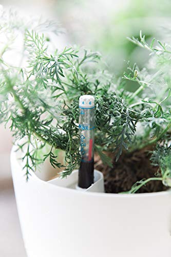 Self Watering Pots for Indoor Plants 3 Pack - Flower Pot with Water Level Indicator for Plants, Grow Tracking Tool - Self Watering Planter Plant Pot - Coco Coir - White
