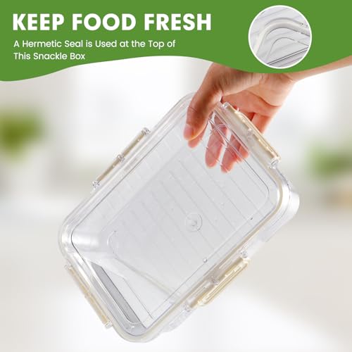 Divided Serving Tray with Lid and Handle, Snackle Box Container mit 4 Compartments Clear Serving Platters and Trays,Snack Platters for Veggie Fruits Snacks Nuts, for Picnic Party Travel