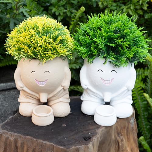 Funny Planters Smiley Face Planter Pot with Drainage Hole, Cute Resin Succulent Plant Pots, Unique Novelty Cute Cactus Face Pots for Office Desk Plant Pots Gift White - color: White-a