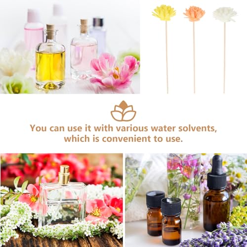 Didiseaon 12Pcs Dried Flower Diffuser Sticks Refill Flower Reed Diffuser Sticks Replacement Reeds for Essential Oil Bottles Aromatherapy Home Fragrance Decorative Sticks
