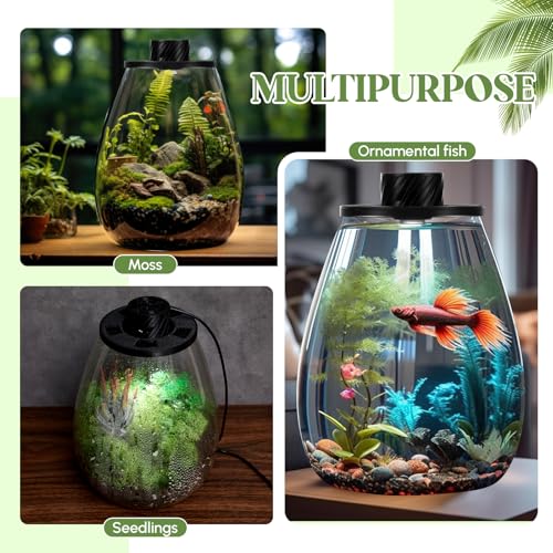 Glass Plant Terrarium Kit with LED Grow Light, Desk Terrarium for Venus Fly Trap, Succulents, Moss & Miniature Garden, Borosilicate Glass Desktop Planter for Home Office(6.9 x 7.8 Inch) - size: 6.9 x 7.8 Inch