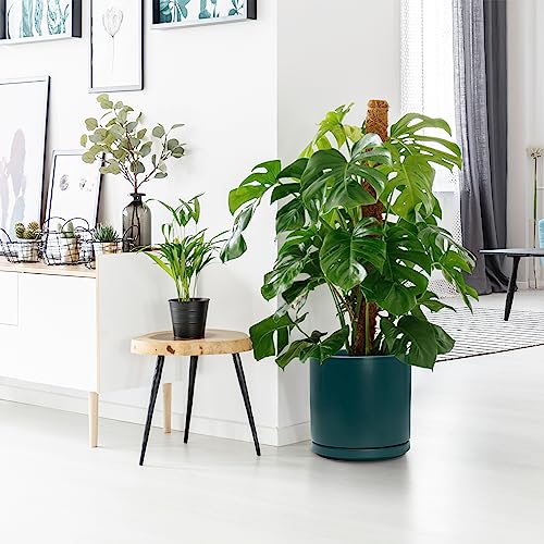 D'vine Dev 10 Inch Ceramic Planter Pot, Teal, 94-O-E-9 | Modern Cylinder Design, Drainage Hole & Saucer Included, Stable Structure, Elegant Home Accent - color: Teal, size: Large