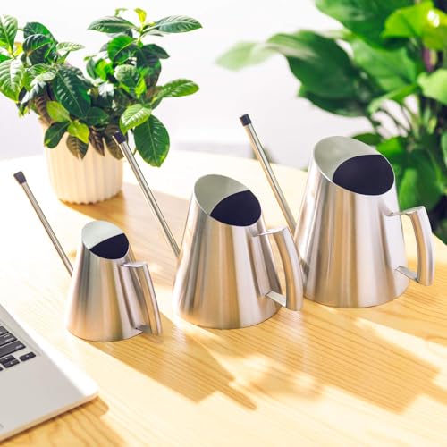 IMEEA Stainless Steel Indoor Watering Can with Long Spout Modern Watering Can for Small Indoor Plants, 50oz / 1.5L Maximum Capacity
