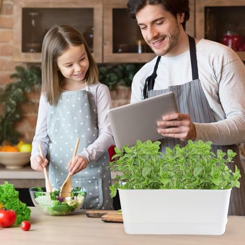Self Watering Planters: 2 Packs Rectangular Plant Pots with with Drainage and Tray, 10 Inch Window Pot Self Watering Planter for Herb, Houseplants - size: 10 inch 2 Pcs