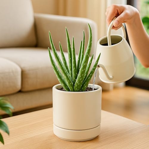D'vine Dev 4-Pack Ceramic Pots with Saucers, Oatmeal, 4.7 in, 94-X-B-8 | Glazed Ceramic, Drainage Hole and Saucer, Sleek Cylinder Shape, High Temperature Fired, Ideal for Small Houseplants - color: Oatmeal, size: 4.7 Inch