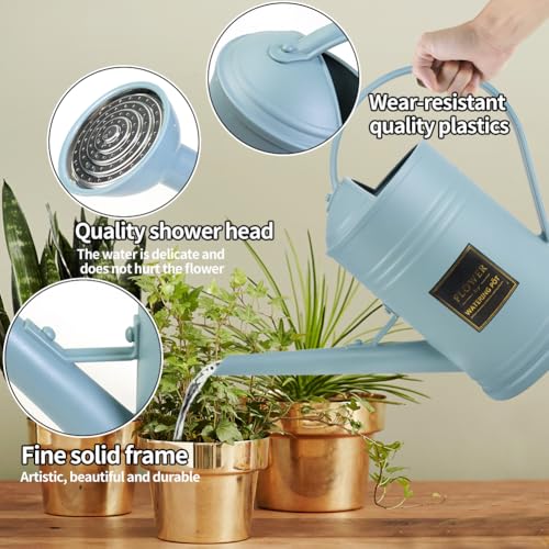 0.5 Gallon Small Watering Can for Outdoor Indoor Plants for House Plants, 12 oz Glass Plant Mister Spray Bottle for Bonsai Garden Flowers (Blue) - color: Blue