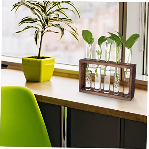 GALPADA Hanging Plant Propagation Station Set Hydroponic Glass Tubes with Cleaning Brush for Home and Office Decoration Wall-Mounted Plant Vase