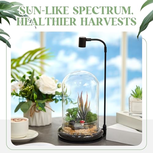 Plant Terrarium Kit with Grow Light, 4.8'' x 7.87'' Glass Dome Terrarium with Air Hole and Base, Succulent Air Planter Fern Moss Micro Landscape Vase for Home Office Tabletop Decoration