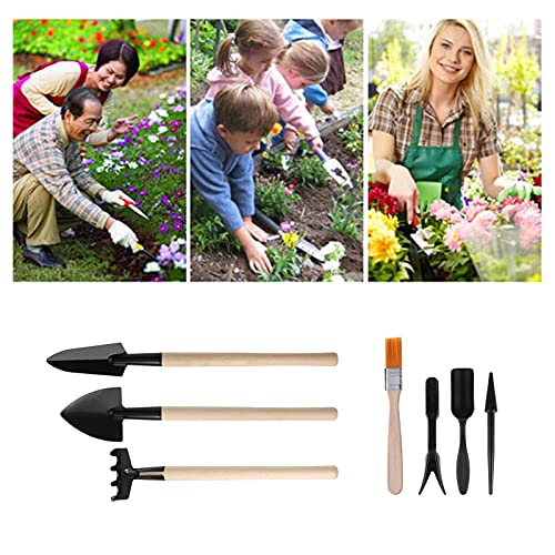 Haofy 13PCS Mini Gardening Tools Set for Succulents Planting Transplanting Tool Kit with Stainless Steel Scissor Tweezers Brush for Bonsai Indoor Plants