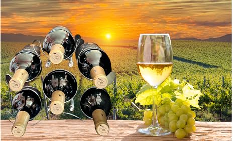 Acrylic Wine Rack | Portable Countertop Designer Bottle Holder | Small Stand for Storage