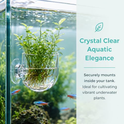 2Pcs Aquarium Plant Pot, Fish Tank Planter with Suction Cups, Plants Holder Decoration Cup