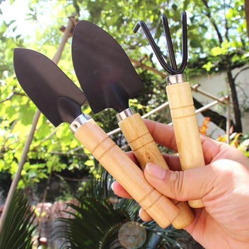 3 Pcs Mini Garden Tools Set Small Tiny Shovel Trowel and Hand Rake with Solid Wood Handle Indoor Gardening Tools for Pot Plants Succulent Bonsai - style: 3PCS Mini Black