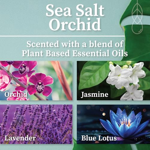 Hemlock Park Sea Salt Orchid Amber & Gold Wood Wick Candle | 7.2 oz | Coconut Apricot Wax | Crackling Wood Wick | Botanical Fragrance | Made in USA