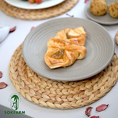 Woven Placemats Set of 10, Table Mats Set of 10, Water Hyacinth Round Placemats for Round Table, Chargers for Dinner Plates, Wicker Chargers for Dinner Plates, Woven Placemat, Place Mats 11.8 in - size: Placemats 11.8in Set 10