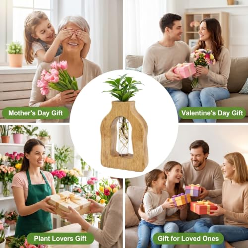 Plant Propagation Station with Glass Test Tube Vases, Wooden Stand Planter Terrariums for Hydroponic Plant Cuttings, Home Office Desktop Decor, Gift for Plant Lovers - size: 4.3"x6.5"