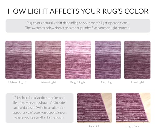 SAFAVIEH Vision Collection Accent Rug - 2'2" x 4', Grape Purple, Modern Ombre Design, Non-Shedding & Easy to Clean, Ideal for Entryway, Foyer, Bedroom (VSN606A) - color: Grape, size: 2'2" x 4' (Rectangular)