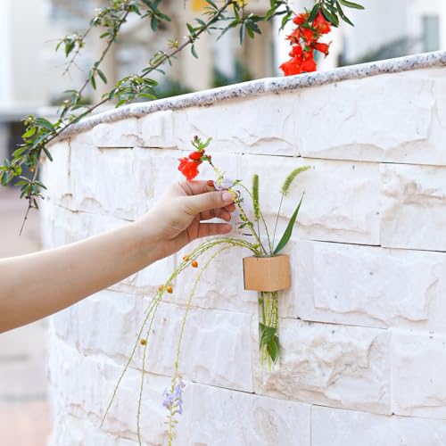 Wooden Wall Planter Glass Plant Propagation Stations Fridge Glass Tube Single Stem Bud Vase 2Pcs/Set Modern Decorative Cube Wood Window Flower Vase Refrigerator Magnetic Mini Glass Vase with Dropper
