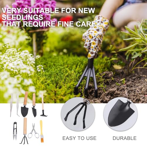 jojofuny 10pcs Succulent Garden Tools Set with Mini Shovel, Tweezers, Spray Bottle and Brush for Indoor Planting and Bonsai Care