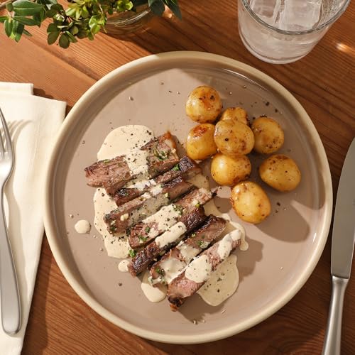 Gibson Elite - Made in Portugal - Port Gaia 12 Piece (Service for 4) Plates and Bowls Reactive Glaze Dishes Stoneware Ceramic Dinnerware Set - Taupe - color: Taupe (12pc Dinnerware Set)