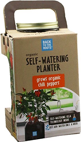 Windowsill Planter: Chili - style: Chili