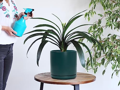 D'vine Dev 8 Inch Ceramic Planter Pot, Teal, 94-O-D-9 | Modern Cylinder Design, Drainage Hole & Saucer Included, Stable Structure, Elegant Home Accent - color: Teal, size: Medium