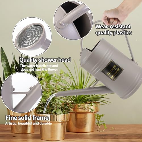 0.5 Gallon Small Watering Can for Outdoor Indoor Plants for House Plants, 12 oz Glass Plant Mister Spray Bottle for Bonsai Garden Flowers (Grey) - color: Gray