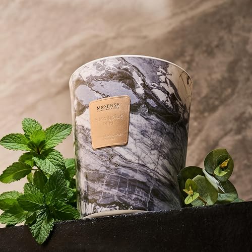 M&SENSE Extra Large Candle 35oz 150H EucalyptusMint Scented Candle, 3 Wick Highly Scented Jar Candle, XL Candles Gift for Stress Relief, Meditation, Yoga - color: EucalyptusMint, size: Large