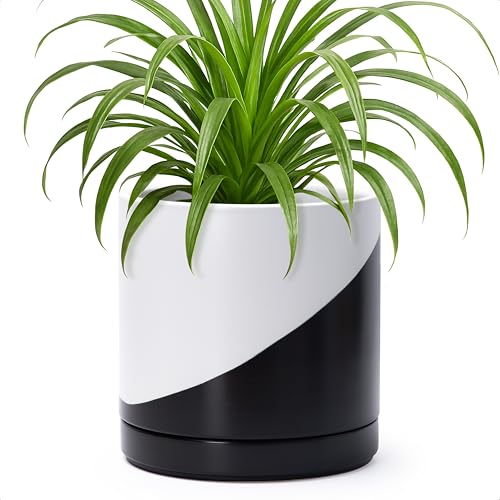 D'vine Dev 8.2 Inch Ceramic Planter Pot, Black White Diagonal, 94-O-D-K | Modern Cylinder Design, Drainage Hole & Saucer Included, Stable Structure, Elegant Home Accent - color: Oblique Monochrome Black & White, size: Medium