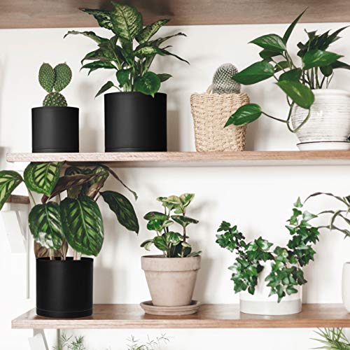 D'vine Dev 3-Pack Plastic Pots & Saucers, 4/5/6 in, Black, 74-V-B-1 | Multi-Size Options, Lightweight Durable, Matte Finish, Cylinder Shape, Drainage Holes, Sleek Design, Detachable Saucer - color: Matte Black, size: Small