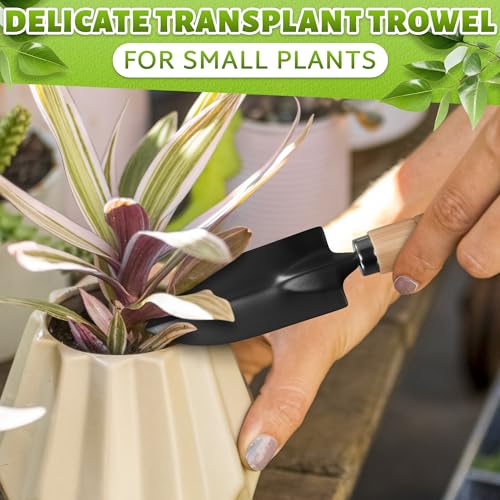Mini Garden Tools for House Plants, Mini Shovel, Trowel & Hand Rake | Small Garden Tools for Potted Plants, Bonsai and Succulents; Rust-Resistant Heads; Wood Handles; Repotting and Soil Loosening