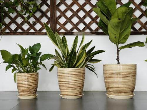 8 Inch Plant Pot, Ceramic Planter with Drainage Hole and Saucer Large Flower Pot for Home Patio Garden Office, Yellow - color: Glossy Yellow-coil, size: 8 Inch