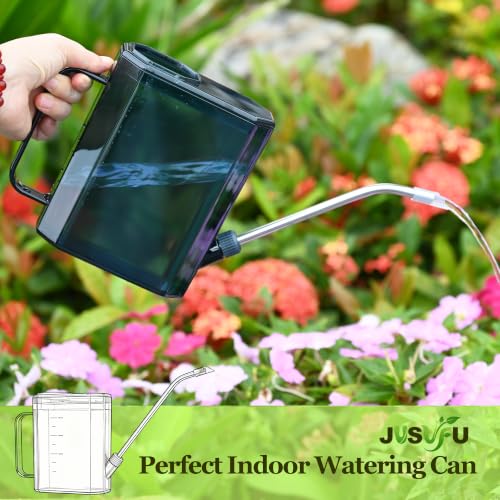 Watering Can Indoor,34oz/1000ml | Small Watering Cans for House Plants, Succulents and Flowers, Long Spout