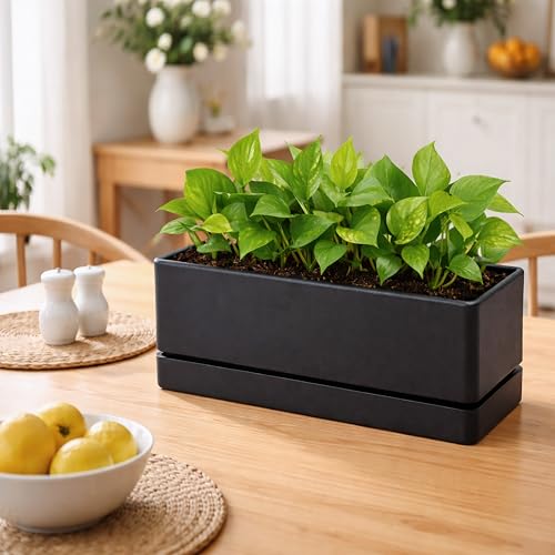 D'vine Dev 2-Pack Rectangular Planters, 12 x 4.5 in, Black, 76-X-B-2 | Minimalist Design, Large Planting Capacity, Drainage Holes & Saucer, Thick-Walled Durable Build, Ideal for Windowsills - color: Black