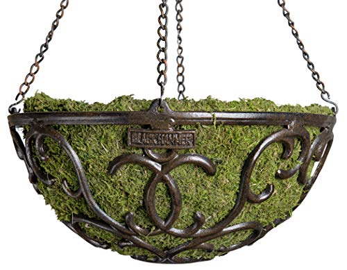 Black Hammer 80006 Elmbrige Round Metal Plant Hanger Basket with SuperMoss Liner