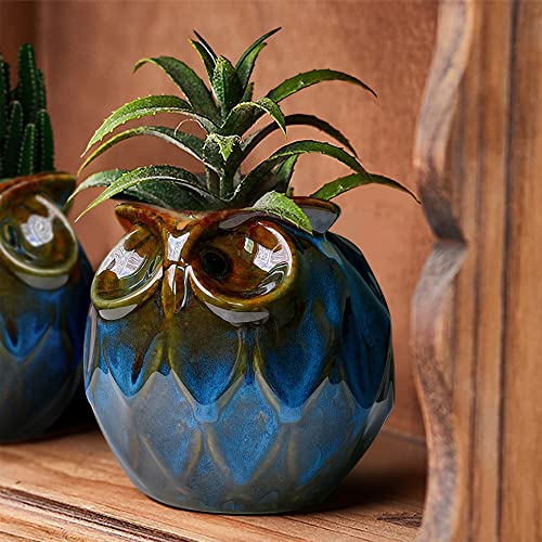 GeLive Blue Owl Ceramic Succulent Planter with Drainage Hole Animal Plant Pot Tabletop Decoration Vase Window Box Indoor Outdoor Decor (Blue) - size: 5.1" Blue