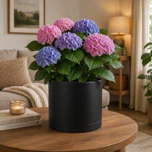 Giraffe Creation 14 Inch Cylinder Plant Pot, Modern Round Planter with Drainage Holes and Saucer, Durable Plastic Flower Pot for Indoor Outdoor Plants, Black - color: Black 14 Inch