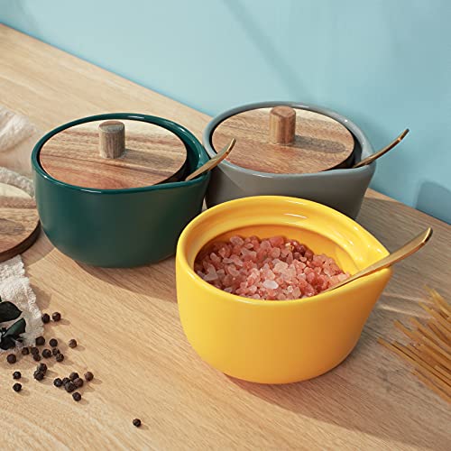 everous Salt Box base grey color Salt Cellar Elegant Design salt Boxes Big Capacity Wood lid grey Ceramic Base with spoon salt pot