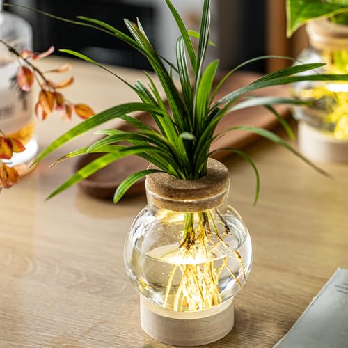 Propagation Stations, Plant Propagation Station with Light Base, Glass Propagation Vases, Hydroponic Vase for Plants, Glass Terrarium for Home Office Windowsill Tabletop Decoration (2)
