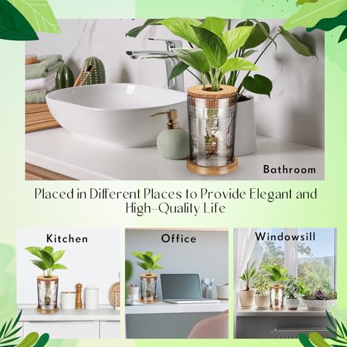 9 Packs Propagation Vases for Plants Plastic Plant Propagation Station with Hole Lid and Bamboo Stand Growing in Water Hydroponic Home Office Table Decoration(Stripe Style) - style: Stripe Style