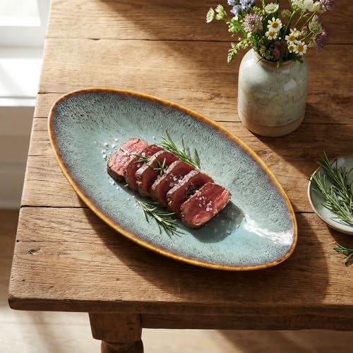 Ceramic Dinner Plates Set of 4, for Bread, Pasta, Salad, sushi - Microwave, Oven and Dishwasher Safe, Scratch Resistant durable Brown Brown reactive glaze - color: Brown reactive glaze, size: 13.3 inch