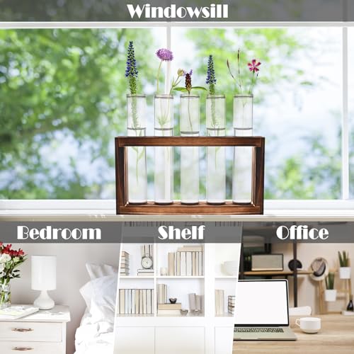 Tigvio Desktop Glass Plant Propagation Station (5 Tubes) | with 5 Test Tubes in Wooden Stand - Hydroponic Plants Cutting Office Home Decoration and Garden Decor Terrarium - size: 5 Tubes