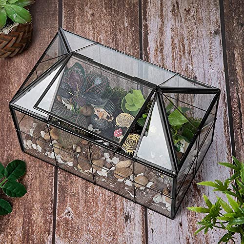 FerrisIsland Glass Aquarium Greenhouse Succulent Plant Aquarium Container | Glass Aquarium Greenhouse Succulent Plant Aquarium Aquaculture Container Desktop Decoration Garden DIY Kit(7.3"H) - size: 9.1"L x 7.3"H 5.4"W