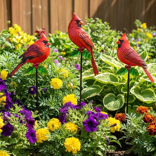 Cardinal Bird Yard Outdoor Decoration Stakes Garden Statue Yard Decor | BVLFOOK 3PCS Cardinal Garden Stakes Signs with Stakes, Personalized Unique Funny Gifts, Lawn Ornaments Home Decor
