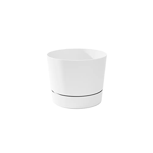 Root & Vessel Majestic Mid-Century Modern Low Profile Cylinder Pot, Matte White, 6.5" - color: Matte White, size: 6.5-Inch
