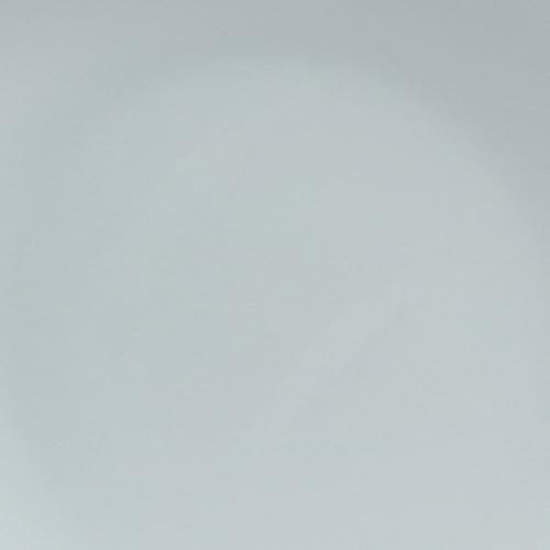 over&back Coupe Stoneware Serving Platter - Elegant 1-Piece Oval Serving Platter to Complete Your Kitchen Set - 16.4" x 11.5" - Semi-Matte Fog Blue - color: Blue, size: Oval Platter