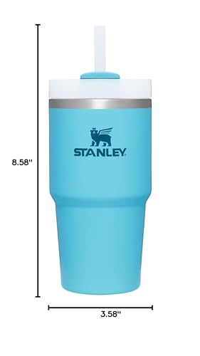 STANLEY Quencher H2.0 Tumbler with Straw 20 oz | Flowstate 3-Position Lid | Cup Holder Compatible for Travel | Insulated Stainless Steel Cup | BPA-Free | Pool - color: Pool, style: 20 Ounces