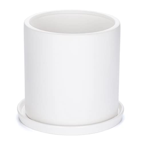 Plant Pots 10 Inch Ceramic Planter with Drainage Hole and Saucer, Matte White Modern Cylinder Planter Pot for Indoor Outdoor Plants Flowers, Full Glazed Finish - color: Whitewsaucer, size: 10 Inch