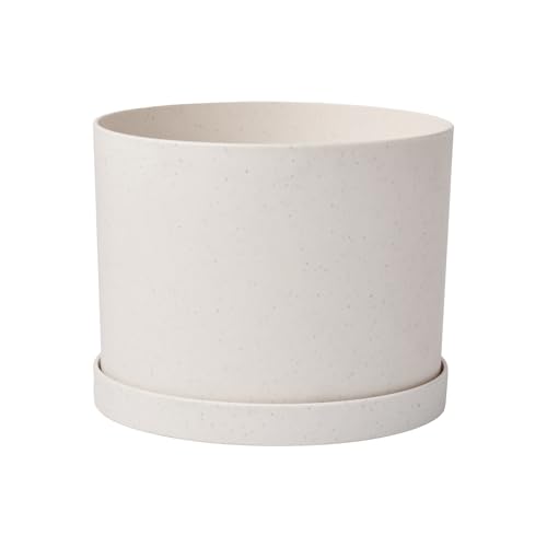 Bloem Mathers 6" Plastic Planter - Modern Indoor Pot with Drainage Holes and Saucer Tray, Vanilla Bean - color: Vanilla Bean, size: 6 "